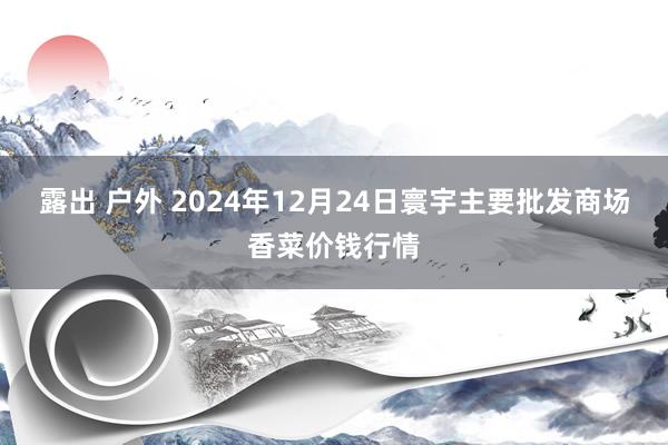 露出 户外 2024年12月24日寰宇主要批发商场香菜价钱行情