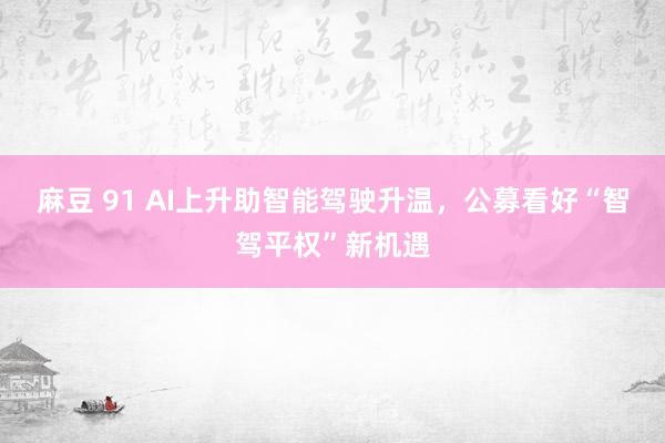 麻豆 91 AI上升助智能驾驶升温，公募看好“智驾平权”新机遇