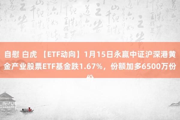 自慰 白虎 【ETF动向】1月15日永赢中证沪深港黄金产业股票ETF基金跌1.67%，份额加多6500万份