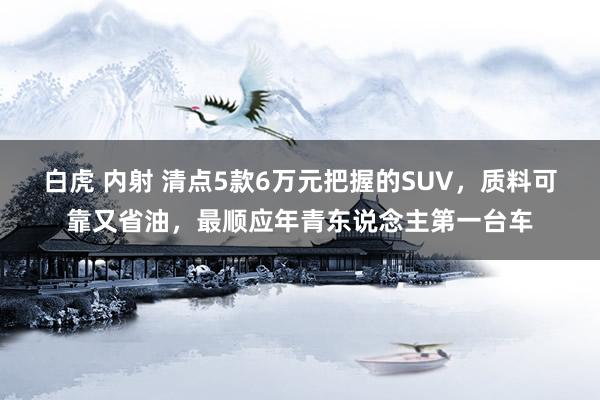 白虎 内射 清点5款6万元把握的SUV，质料可靠又省油，最顺应年青东说念主第一台车